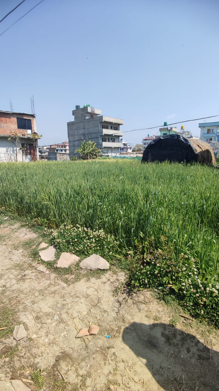 Picture of Mahalaxmi Municipality, Bagmati